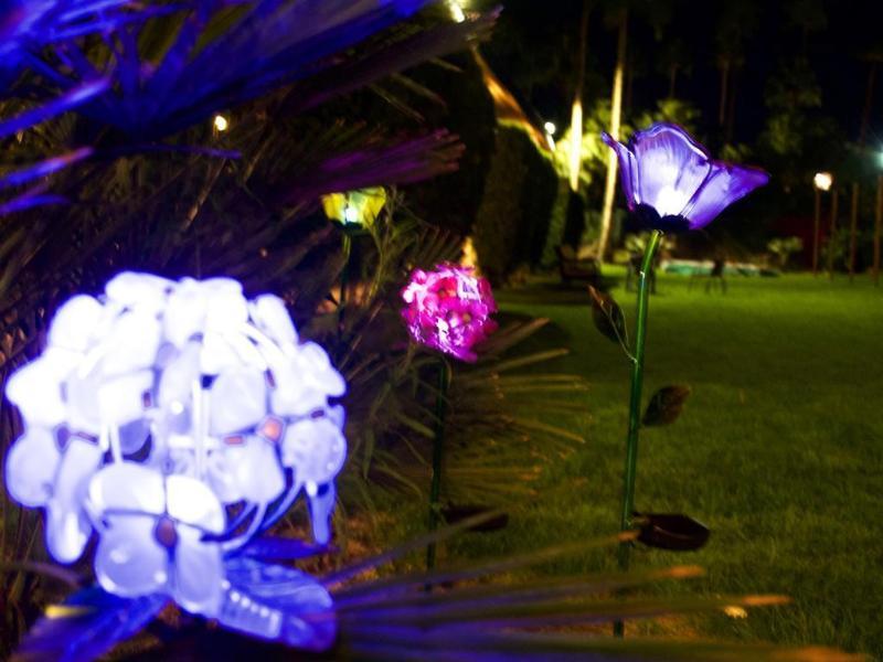 Sol Springs Inn Cathedral City Bagian luar foto